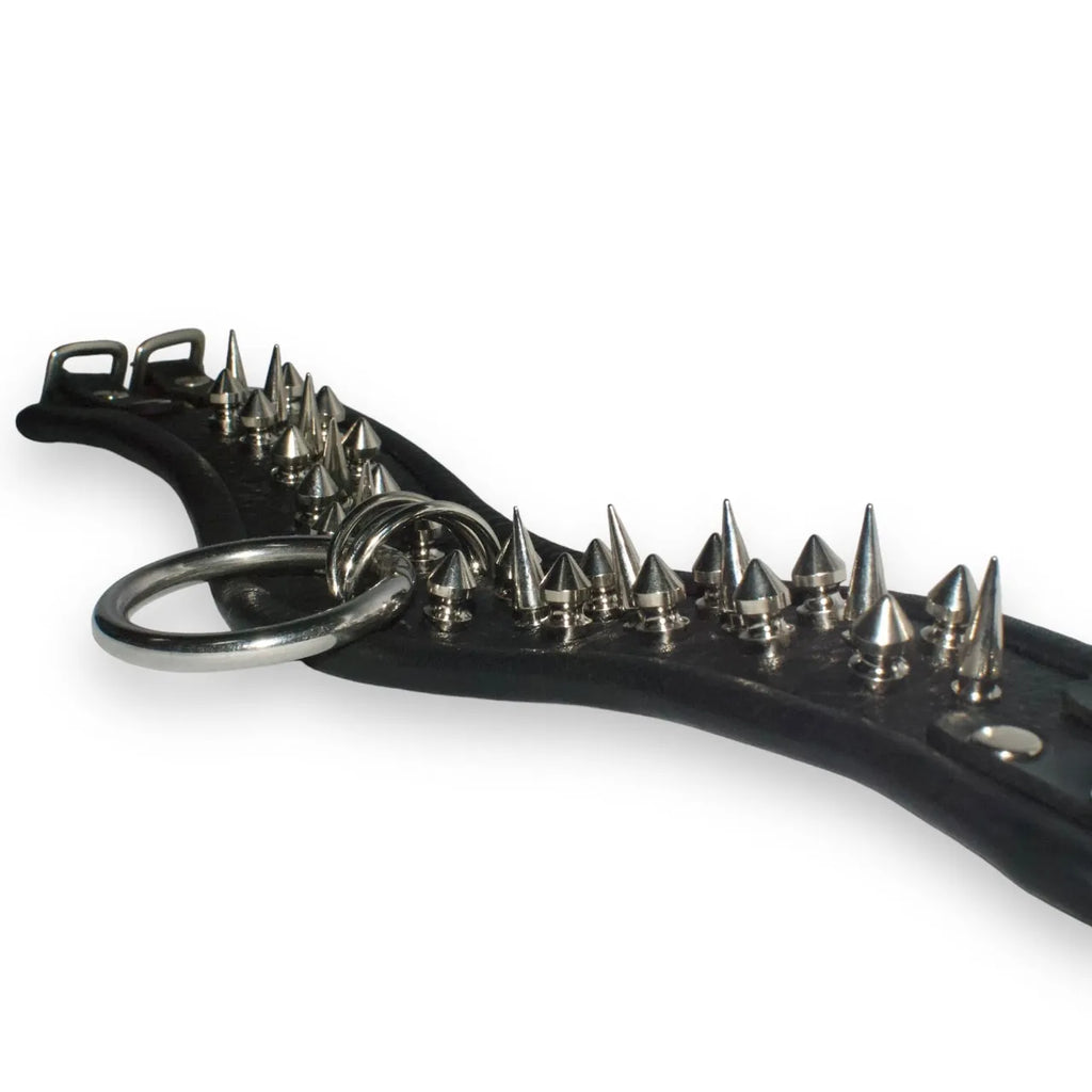 Leather Choker 21